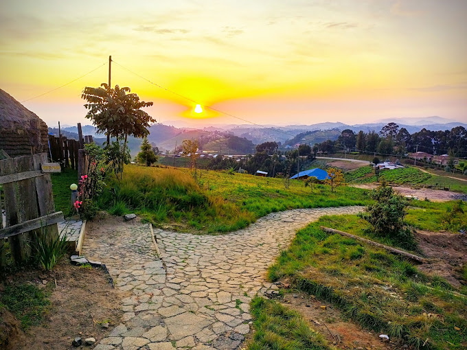 Nyungwe Forest National Park 5-Day Safari